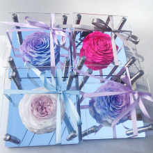 10CM Real Touch Natural True Fresh Flowers - Eternal Roses