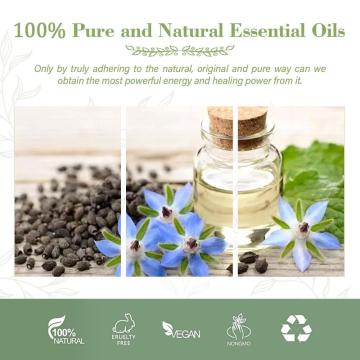 Borage Seed Aromatherapy Oil 100% 농축 향수 스타일 향기 오일