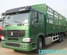 HOWO 4X2 Cargo Truck