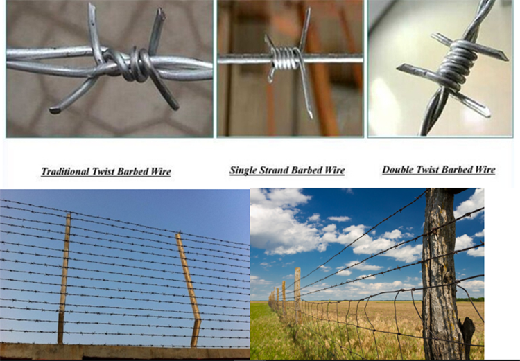 barbed wire