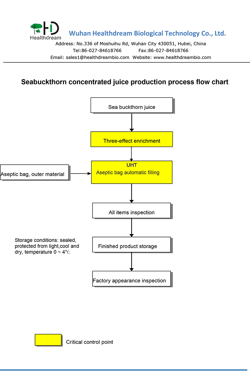 Click Nature 100% Seabuckthorn Puree Oraganic Supply Hippophae Rhamnoides.L