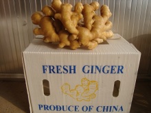 Globalgap Certified Air Dry Ginger