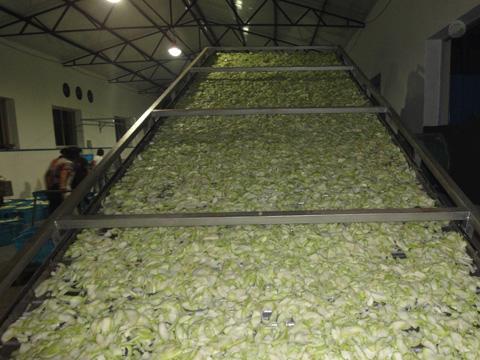 ZLG stable operation vibrating fluid bed drier