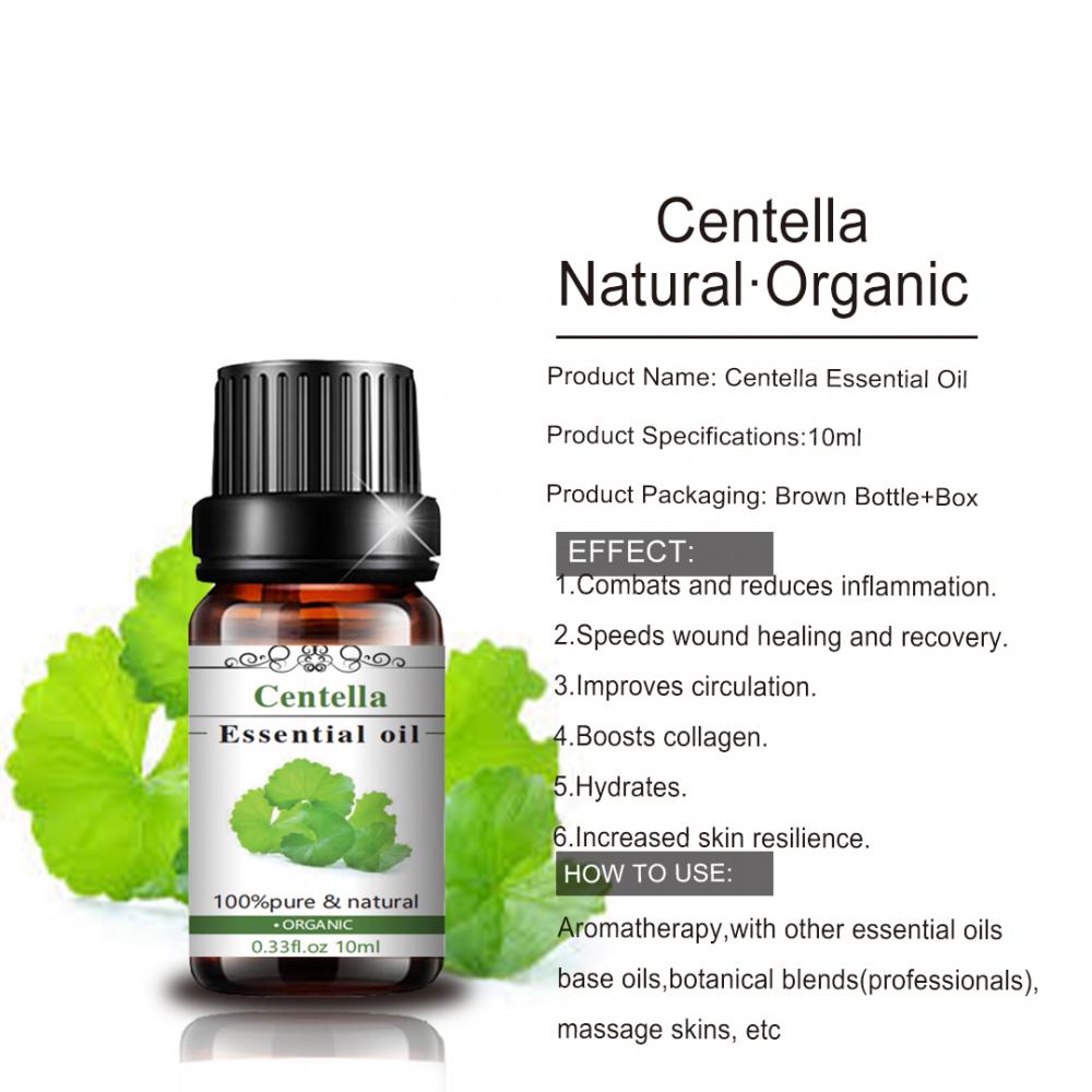 Centella Essential Oil 100% Pure Oil Organic Natural Oil