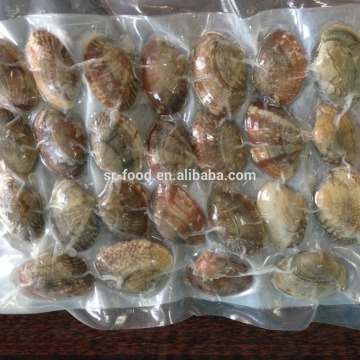 Frozen vacuum packed Cooked Short Necked Clam