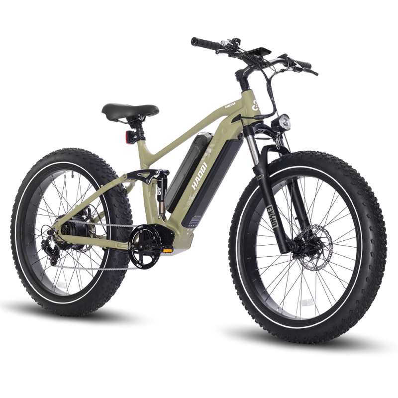 Cheetah Standard Model Full Suspension Electric Bike