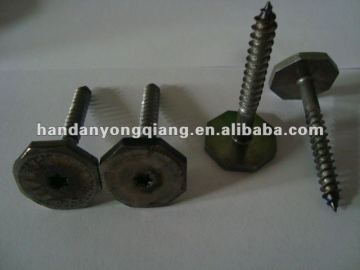 Speical screw plain
