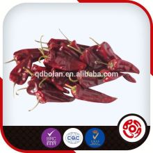 hot pepper chili paprika