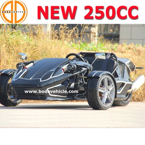 Προμηνύστε αερίου Roadster Ztr Trike ελέγχου εξασφαλισμένης ποιότητας 250cc προς πώληση