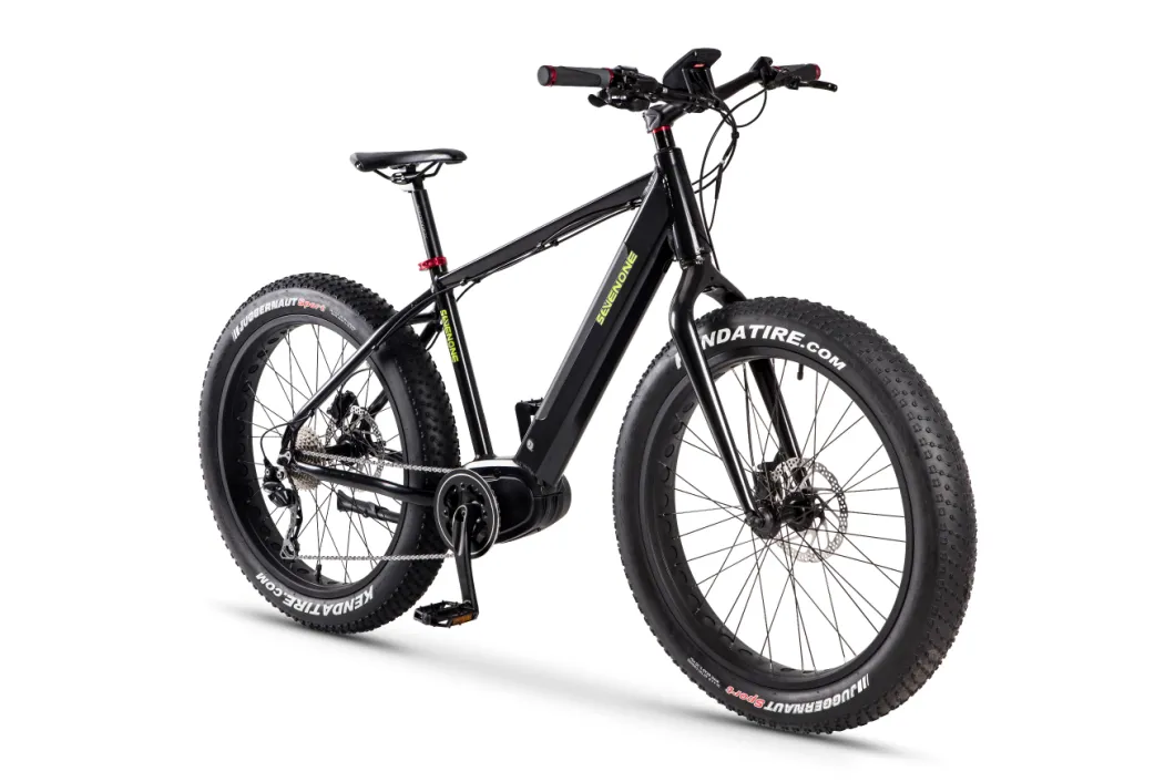 MID Drive Bafang 48V 350W Motor Fat Tire Electric Bicycle