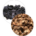 Coconut Shell Base Hard Carbon