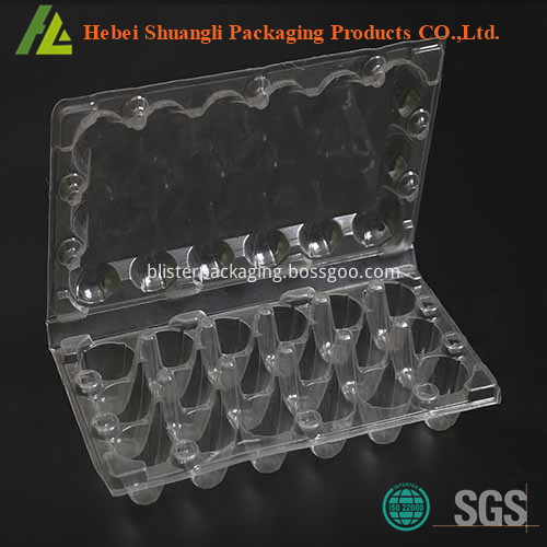 quail egg tray quail egg tray