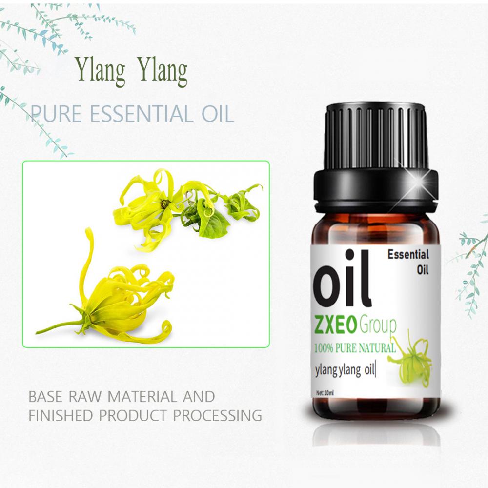 Wholesale 10ml 100% Pure Natural Plant Extract Ylang Oil
