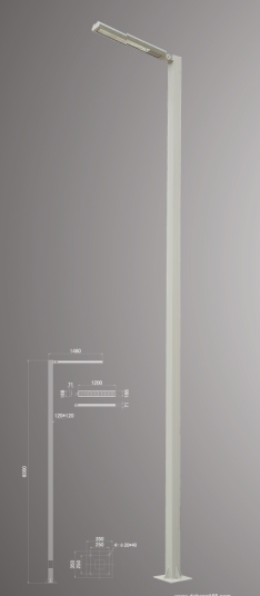 LED Garden Pole light /LED Street Light