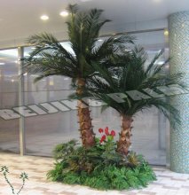 2.5m & 3m Artificial preserved palm tree
