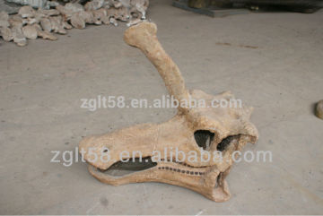 New fiberglass artificial jurassic dinosaur skull for museum