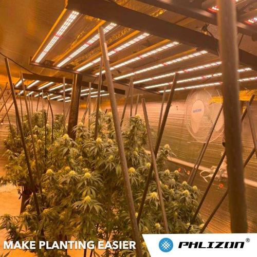 Phlizon mais recente Lâmpada Agrícola Profissional de 640 Watt