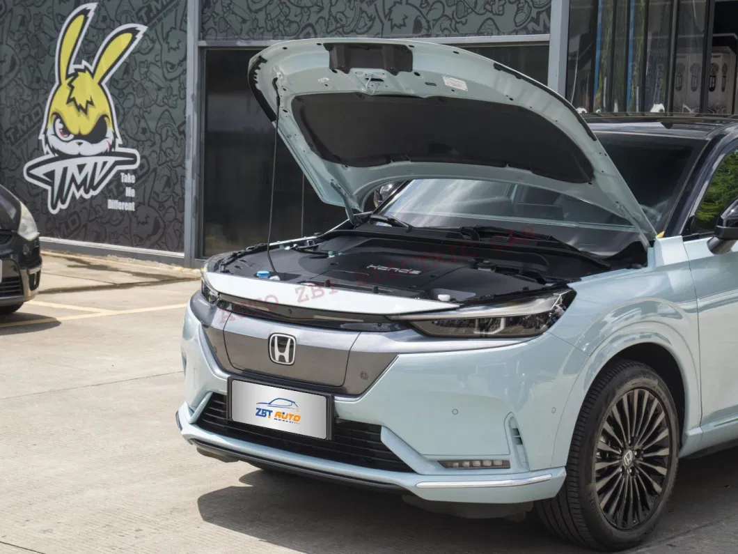 Made in China Smart Sports SUV High Speed E: Np1 Compact Pure Electric Private Car with Ternary Lithium Battery