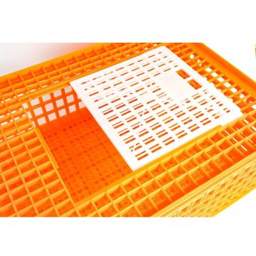 Plastic Transportation Crates for Live Adult Chickens