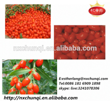 Organic Raw Goji berries, Good tasting ones