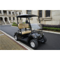 2 مقاعد ezgo بطارية ليثيوم عربات powergolf