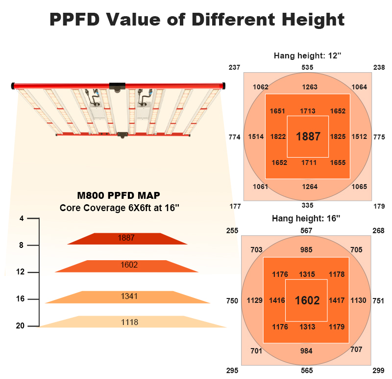 2021 New 800W Full Spectrum LED Grow Light