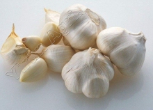 Best Quality Garlics for Sale