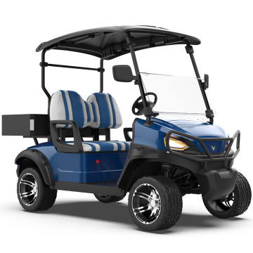 Electric Golf Cars: Independent Suspension, 5kW Motors, 2 Seater Utility Buggies