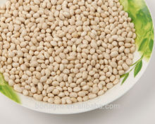 white kidney bean,navy bean on sale
