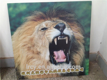 photo printing on aluminum , printer on aluminum , aluminum photo printing machine