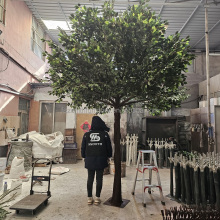 SMOOTH Large Artificial Olive Trees for Indoor Decoration