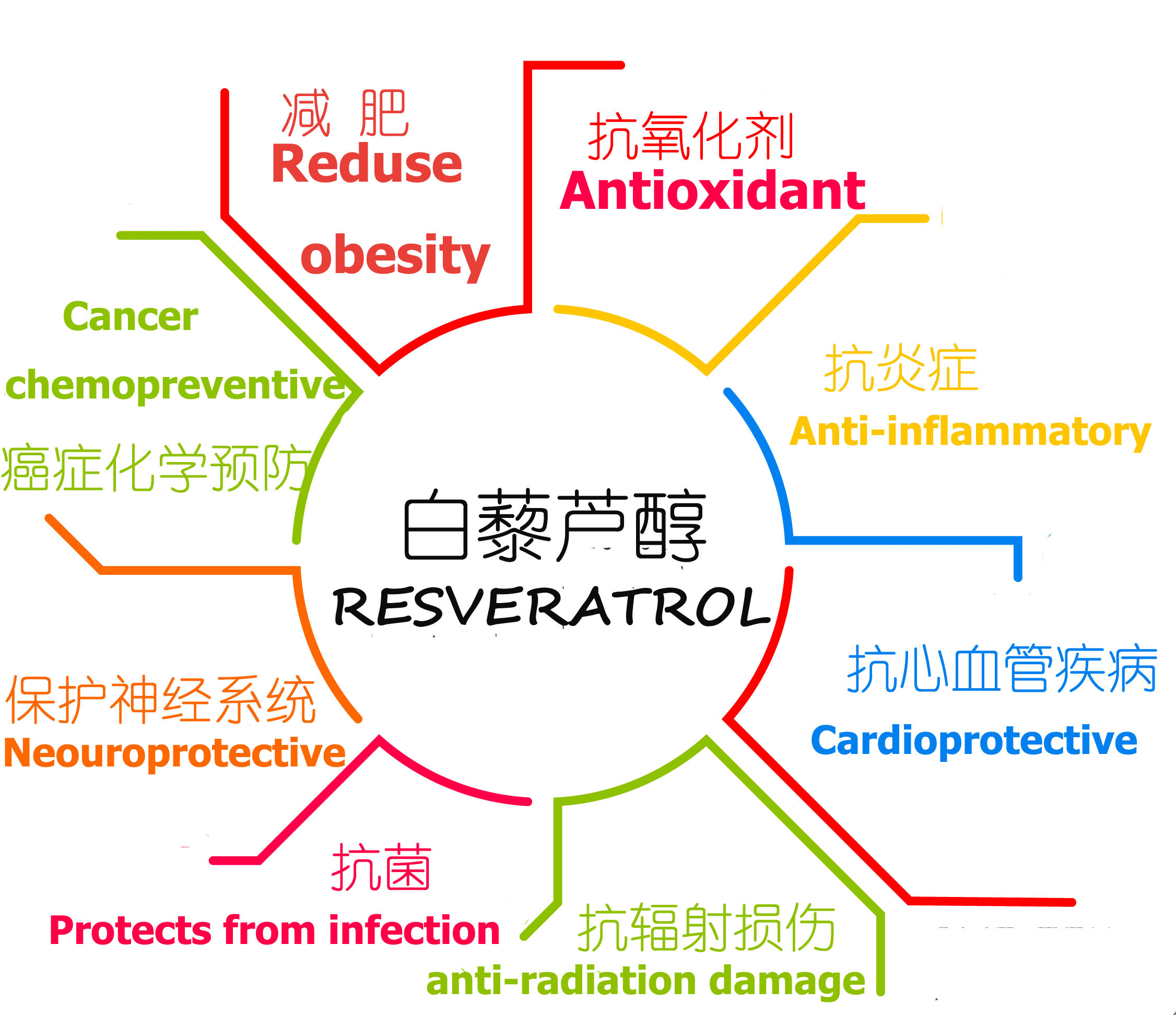 Resveratrol benefits