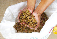 Fishmeal Pellets Production Line