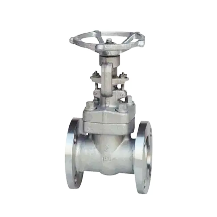 ASTM soft seal cast titanium globe valve