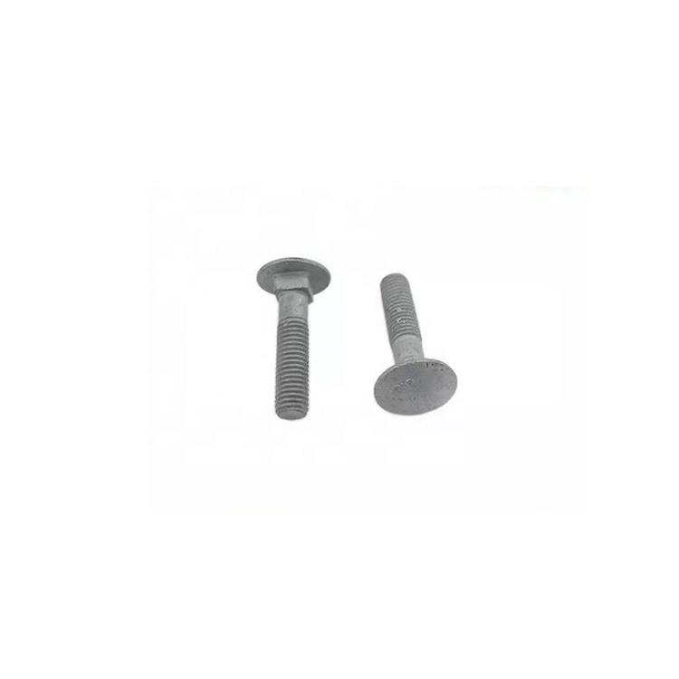 Carbon Steel Hot Dip Carriage Bolts