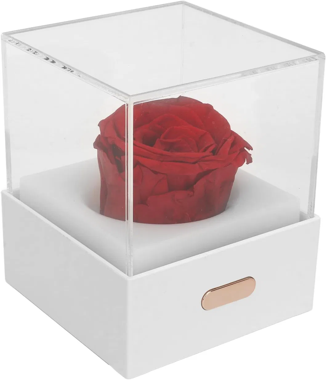 Whimsical USB Flower Night Light for Girls′ Rooms