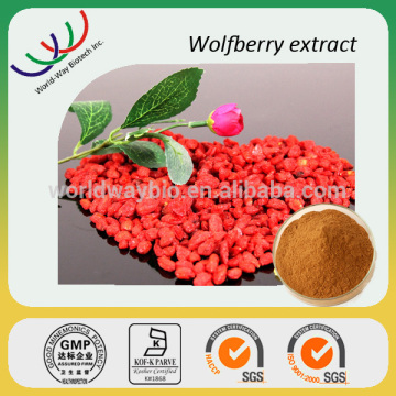 Goji berry extract/100% natural wolfberry extract/goji fruit extract