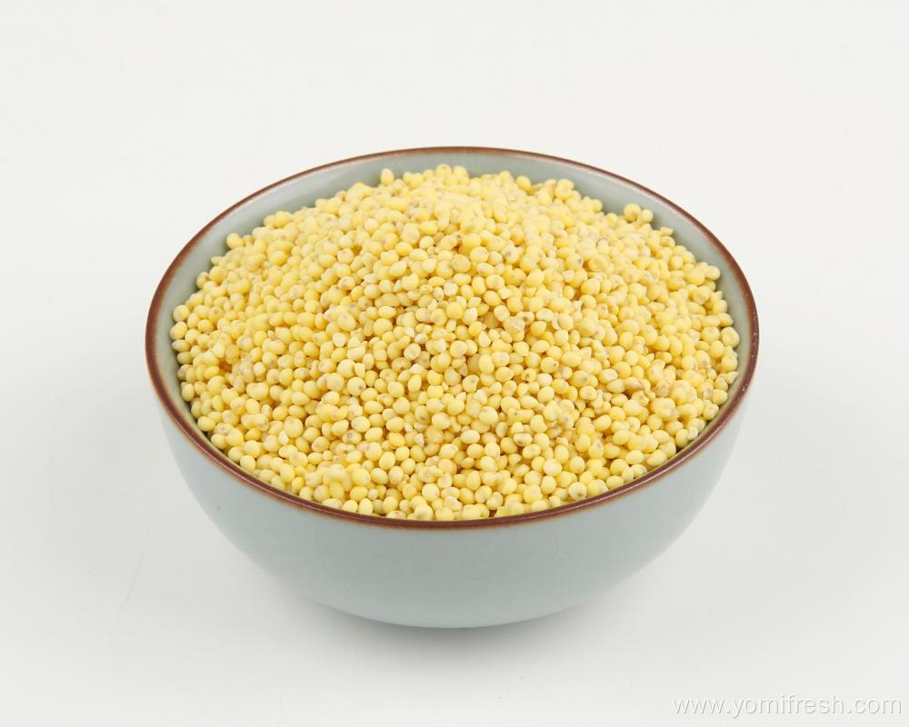 Proso Millet Weight Loss