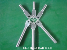 INOX AISI304 AISI316 Flat Head Bolt/EXT ARM