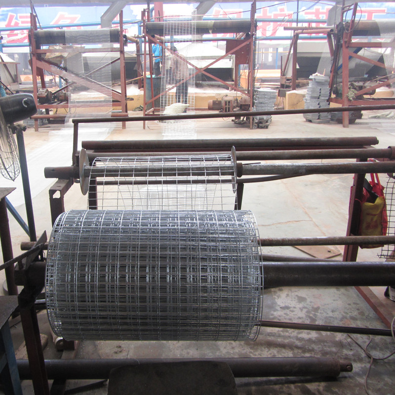 Welded Wire Mesh 5