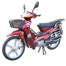 Roywell OEM 4-Stroke Cub Motorcycle: 125CC & 110CC Motor Gas Scooters & Mopeds