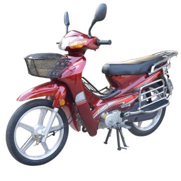 Roywell OEM 4-Stroke Cub Motorcycle: 125CC & 110CC Motor Gas Scooters & Mopeds