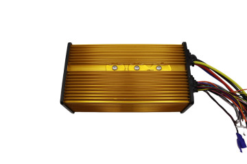 Custom India Urban Passenger E-Rickshaw Controller