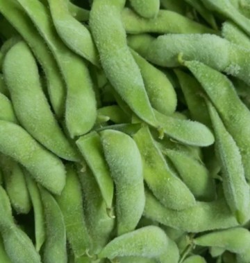 SUPER QUALITY IQF GREEN SOYBEAN POD