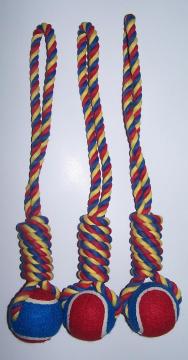 Pet toys Beds clothes leads grooming products etc