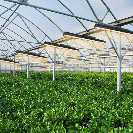 Barre lumineuse de croissance de plantes à spectre complet noir