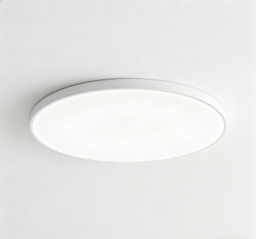 Minimalist Round Ceiling Light with Advanced LED Panel
