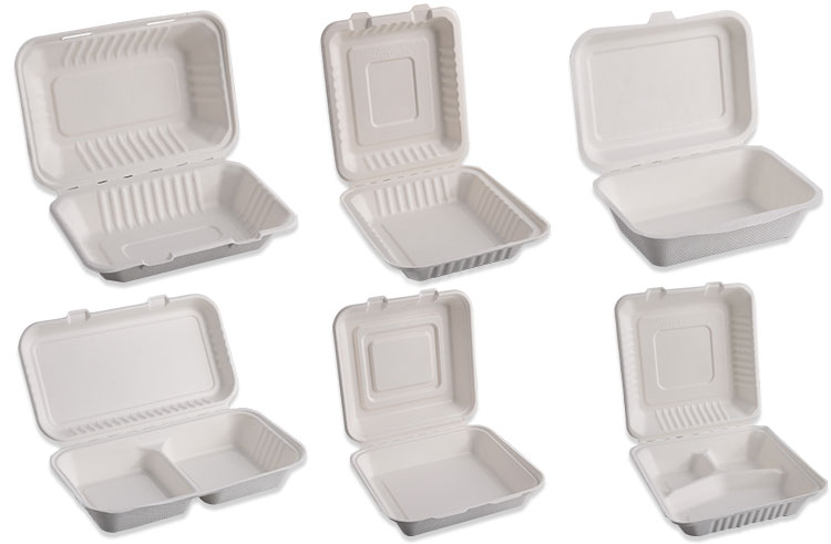 Two compartment bagasse compostable biodegradable packaging box