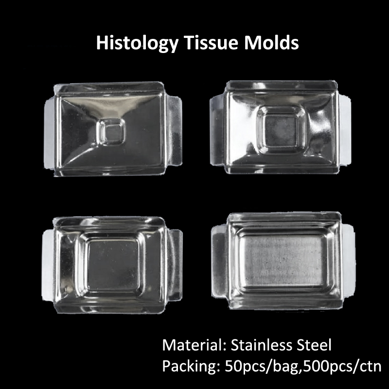 Laboratory Medical Stainless Steel Reusable Pathology Histology Tissue Embedding Cassette Molds