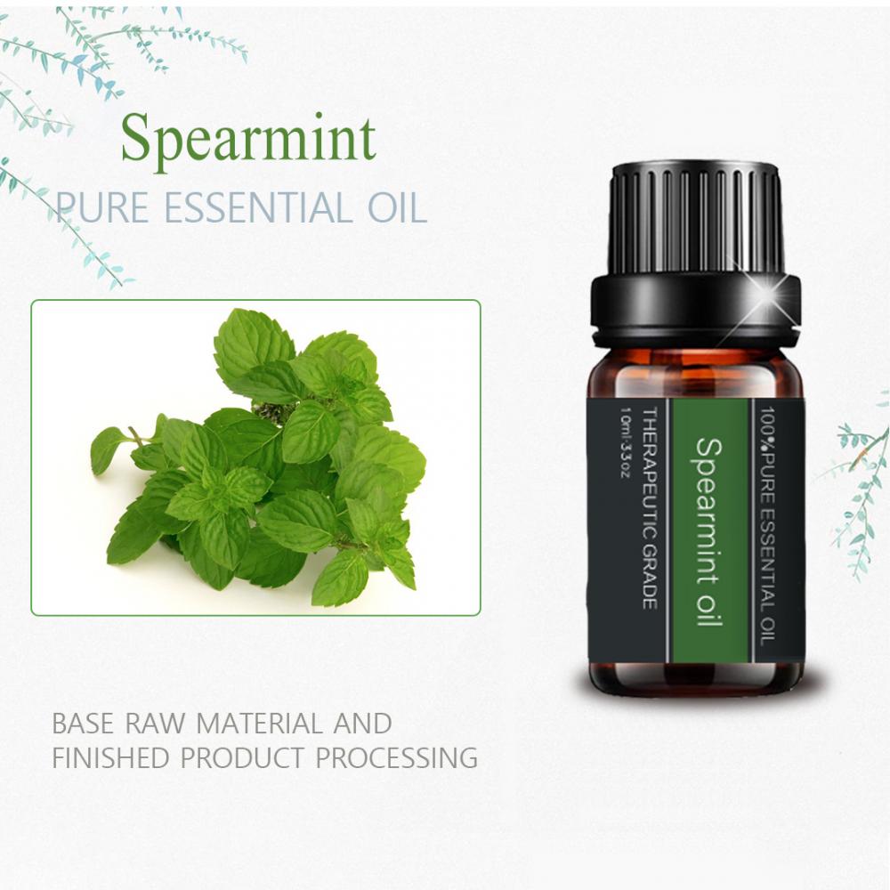 100%Natural Plant Skin Care Massage Spearmint Essential Oil